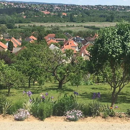Im Obergeschoss Mit Suedlage Und Balkon